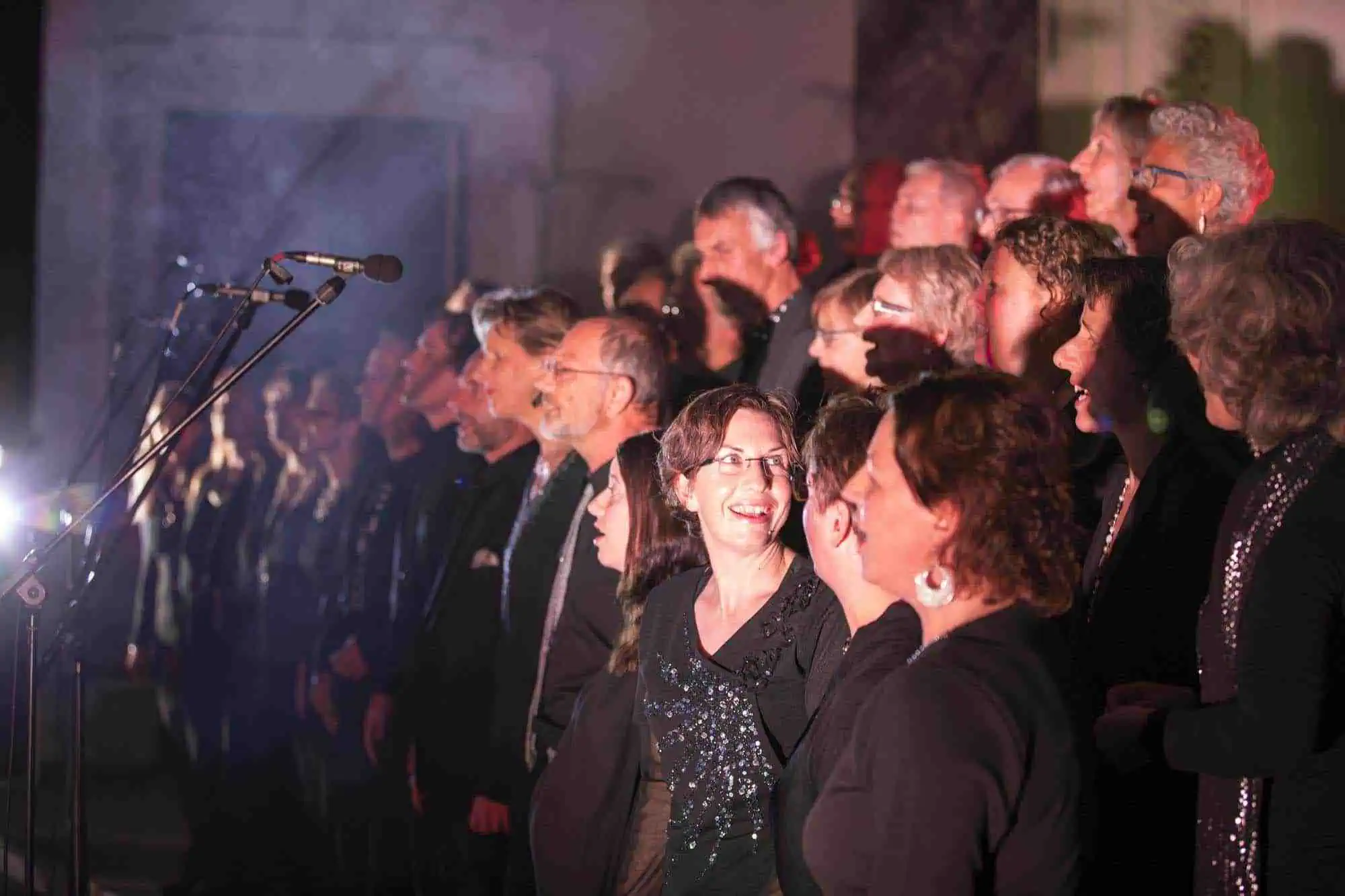 Benefit concert – image 28