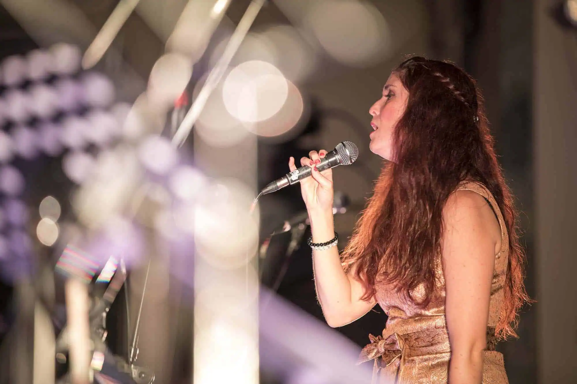 Benefit concert – image 35