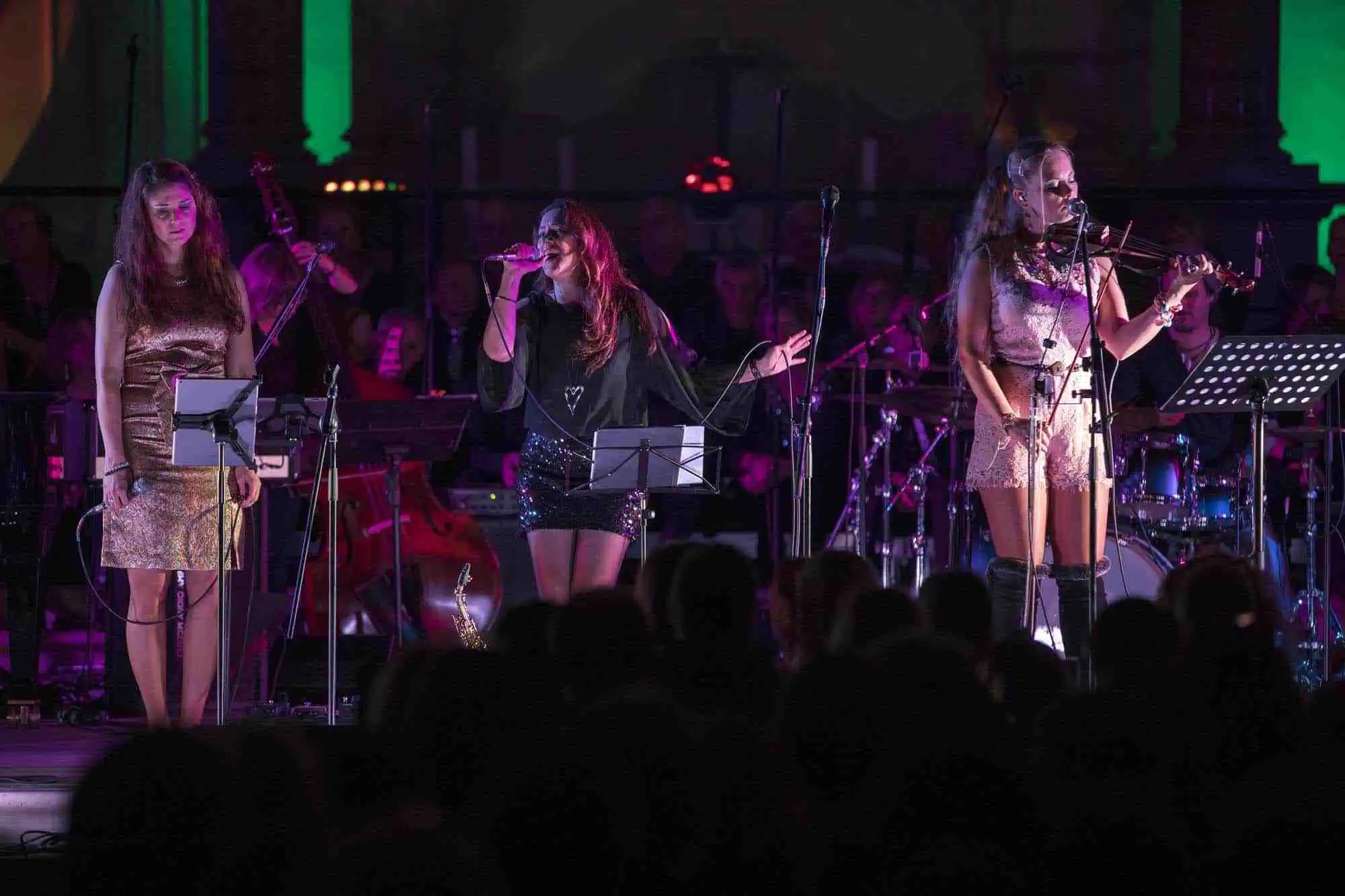 Benefit concert – image 36