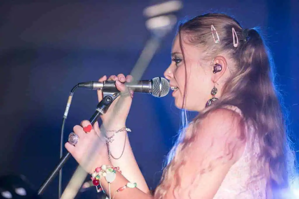 Benefit concert – image 39