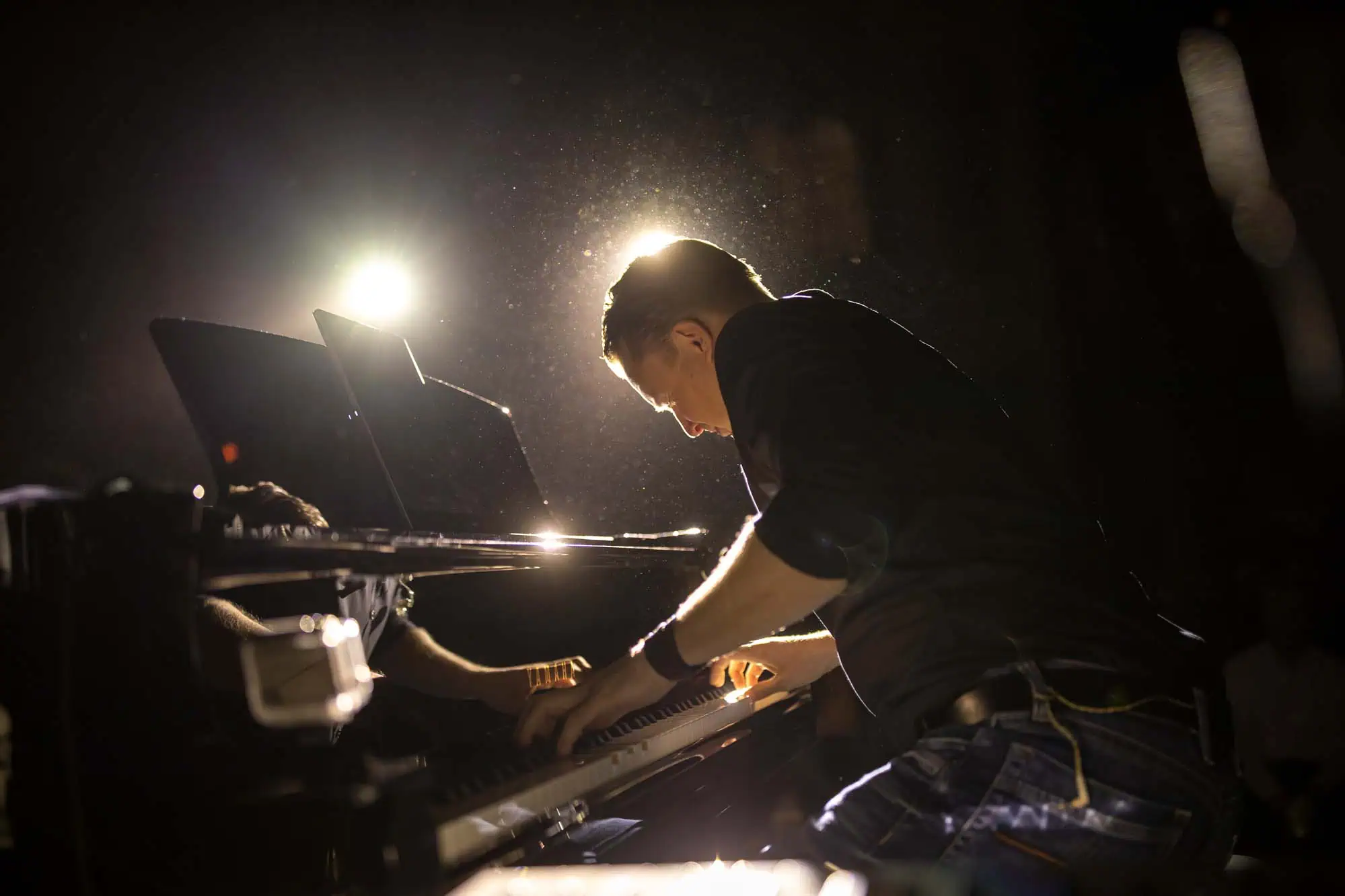 Benefit concert – image 37