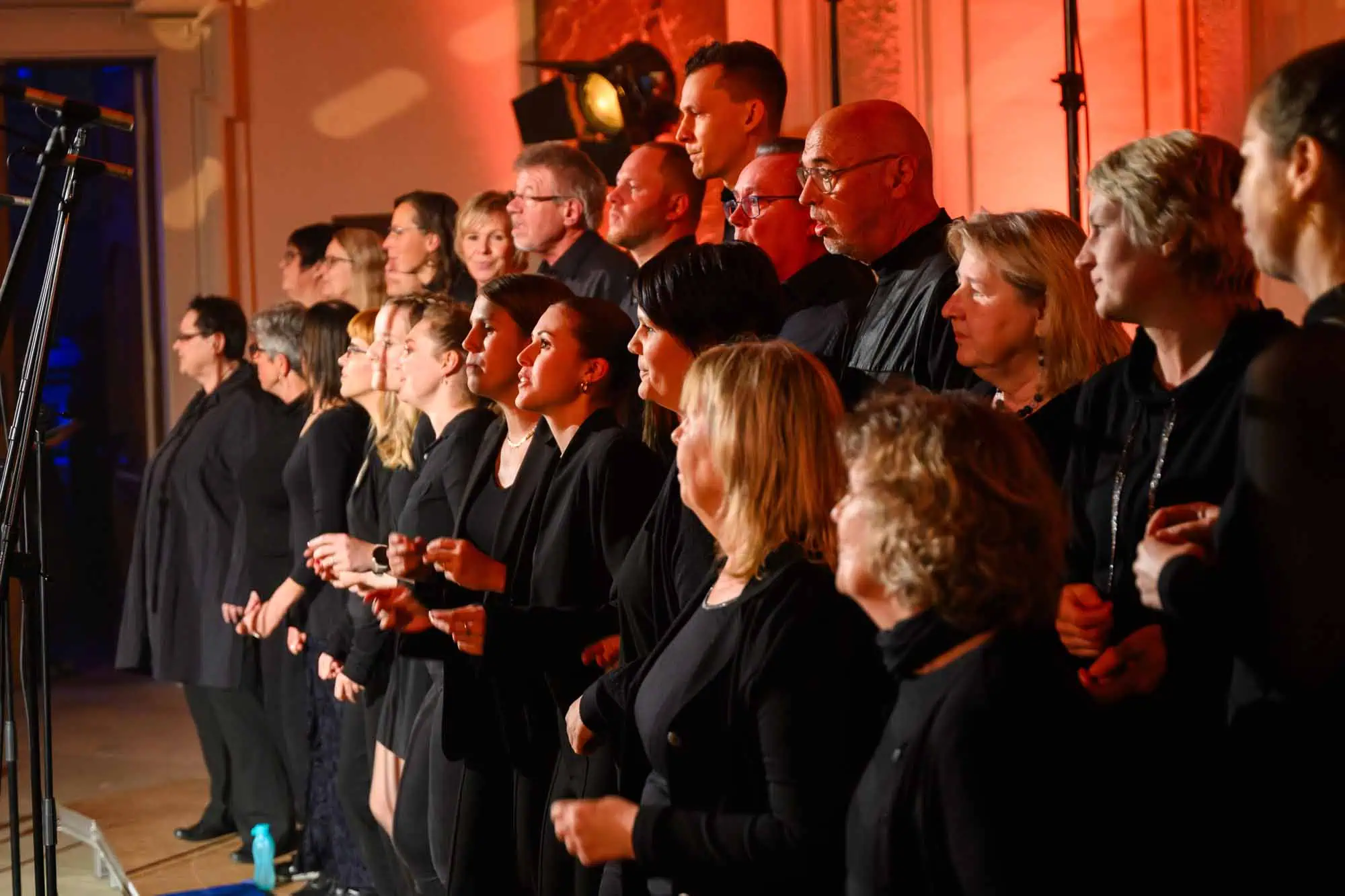 Benefit concert – image 40