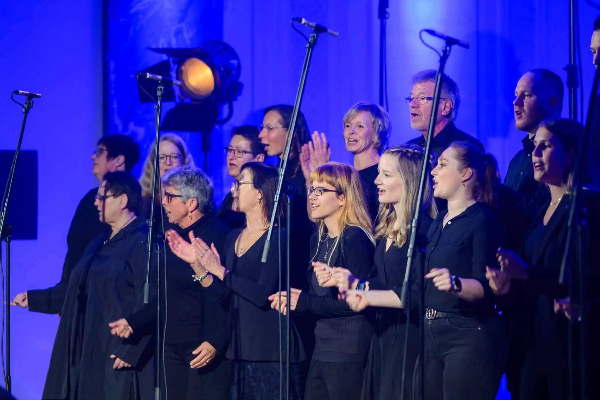 Benefit concert – image 43