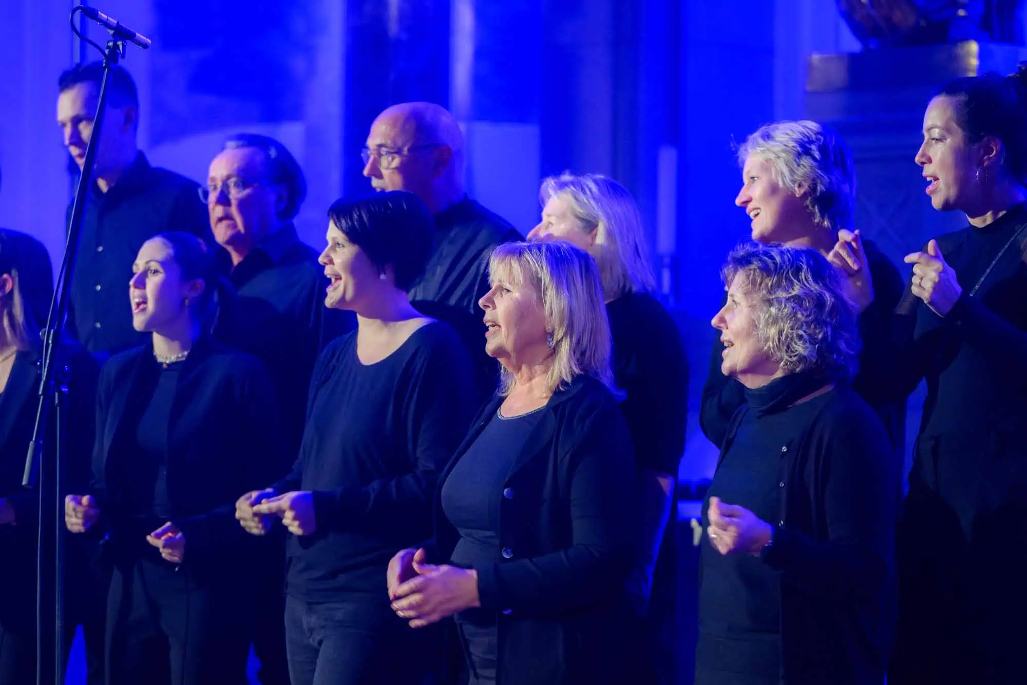 Benefit concert – image 44