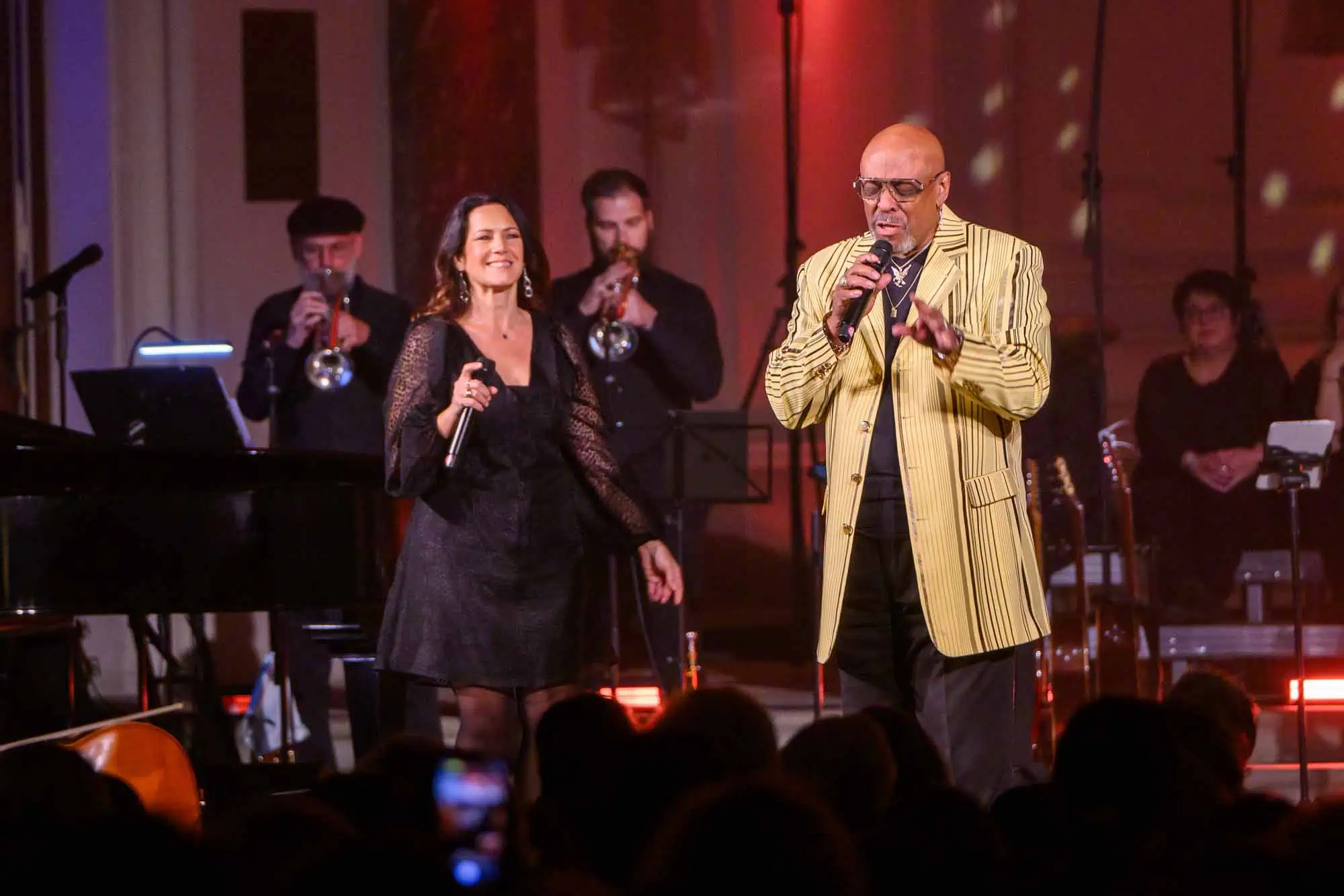 Benefit concert – image 87