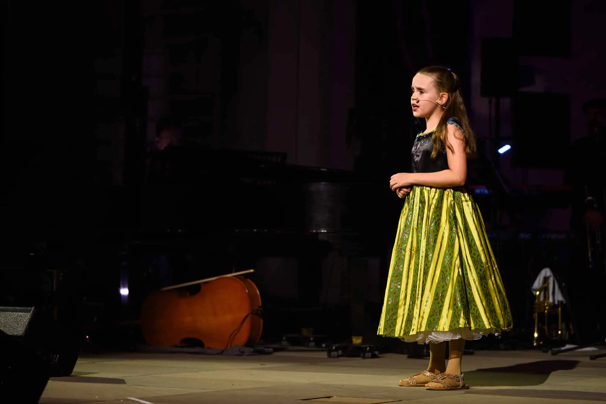 Benefit concert – image 134