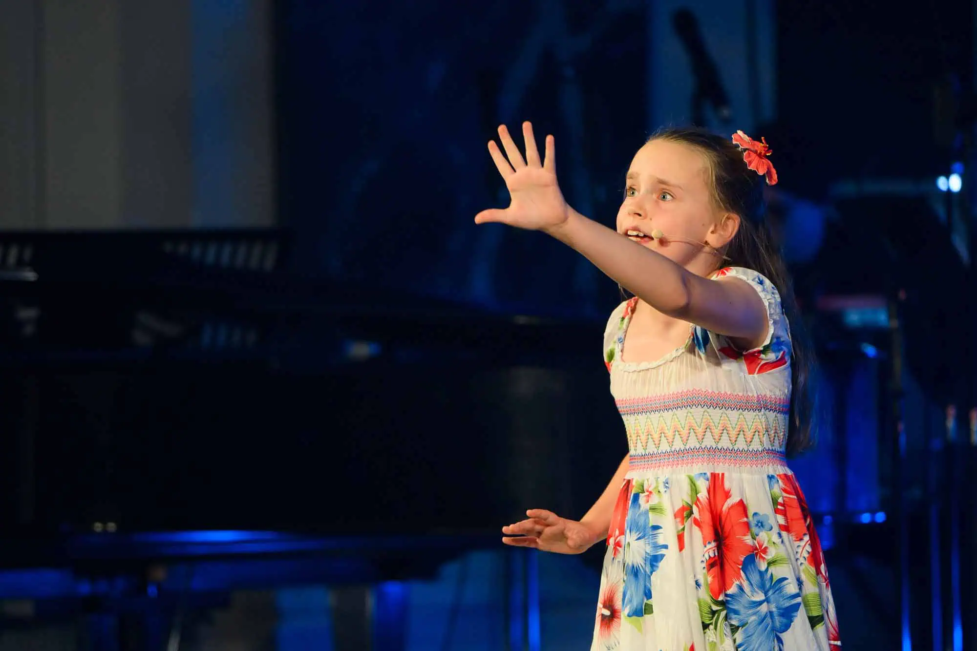 Benefit concert – image 160