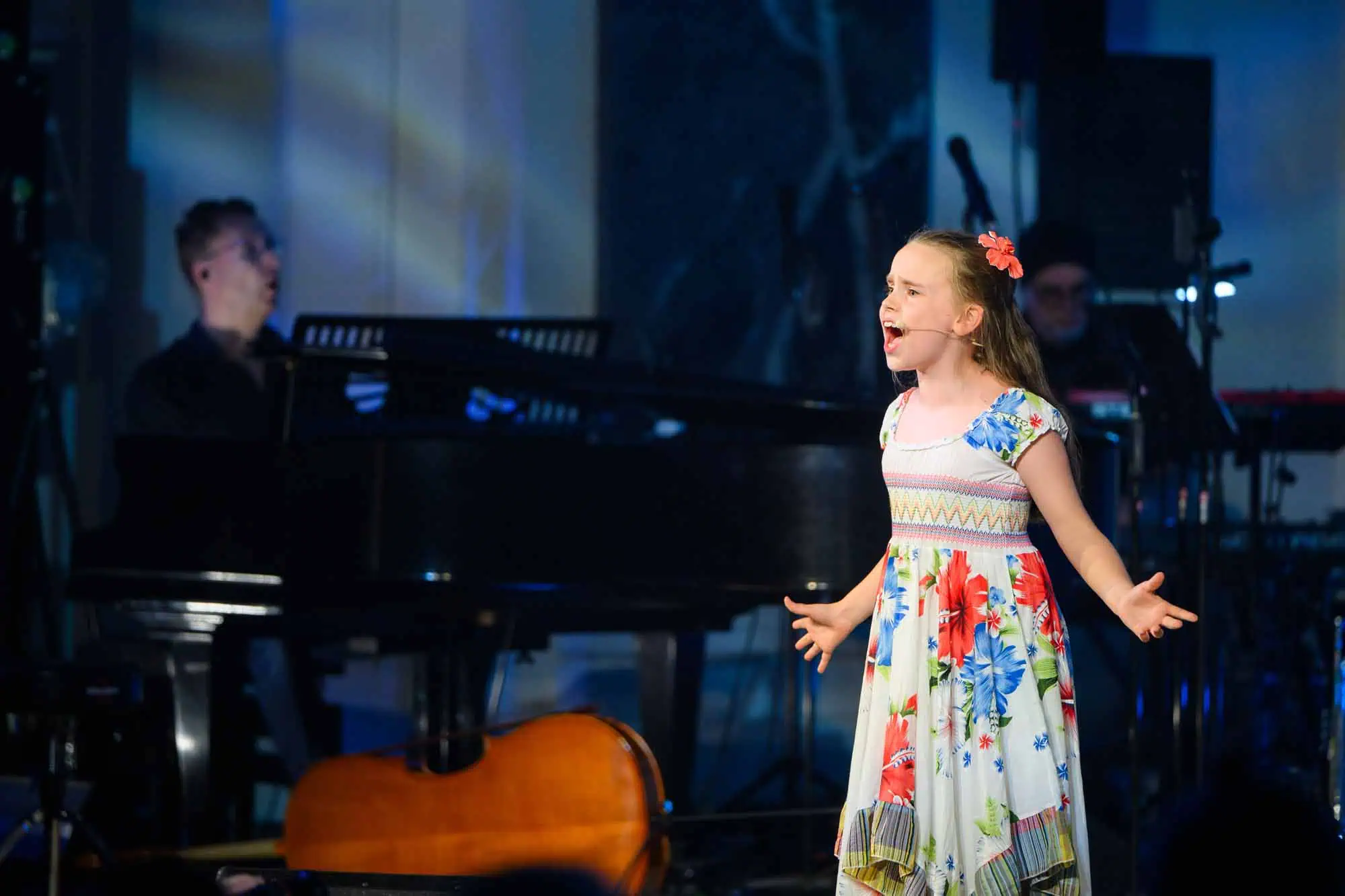 Benefit concert – image 162