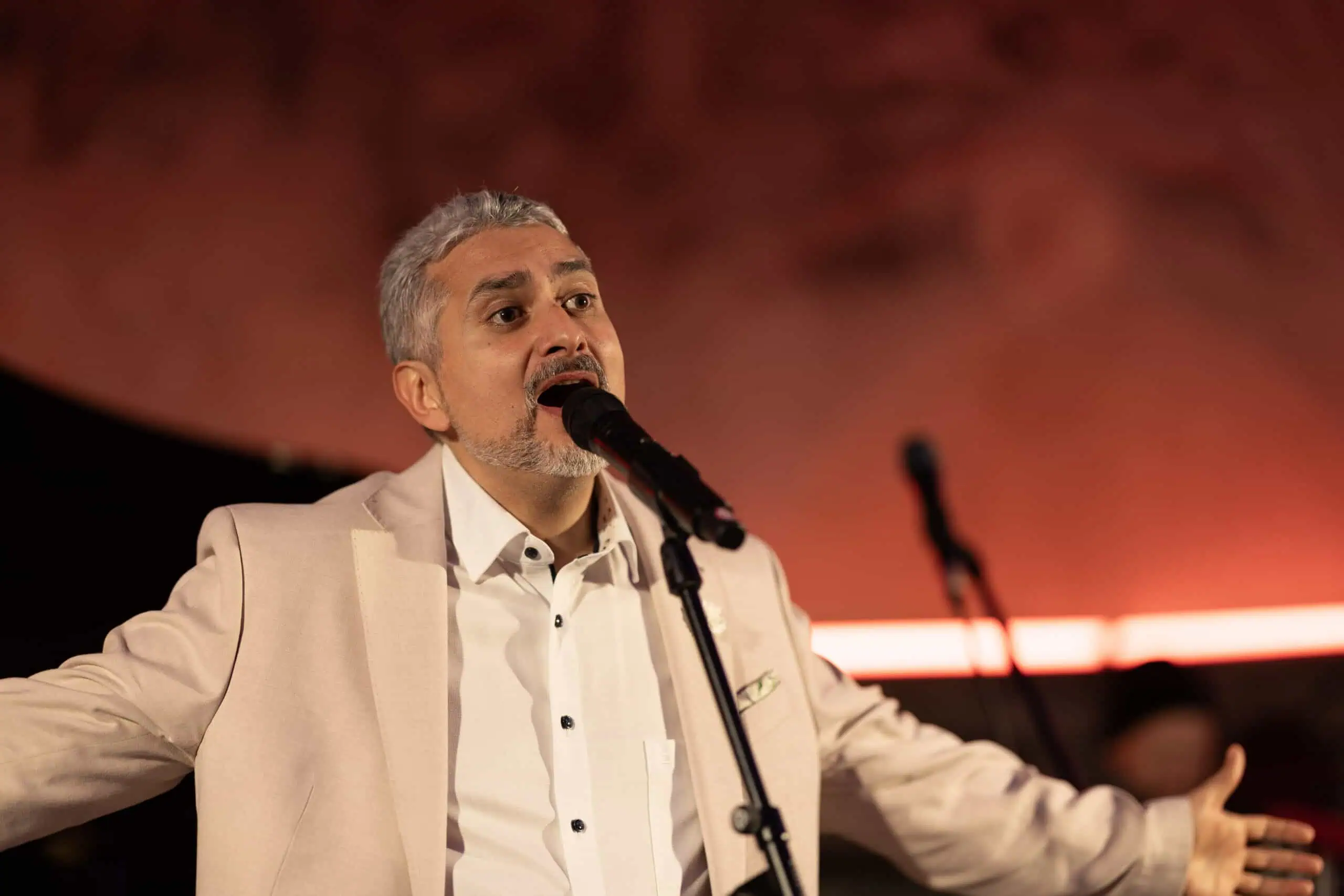 Benefit concert – image 2