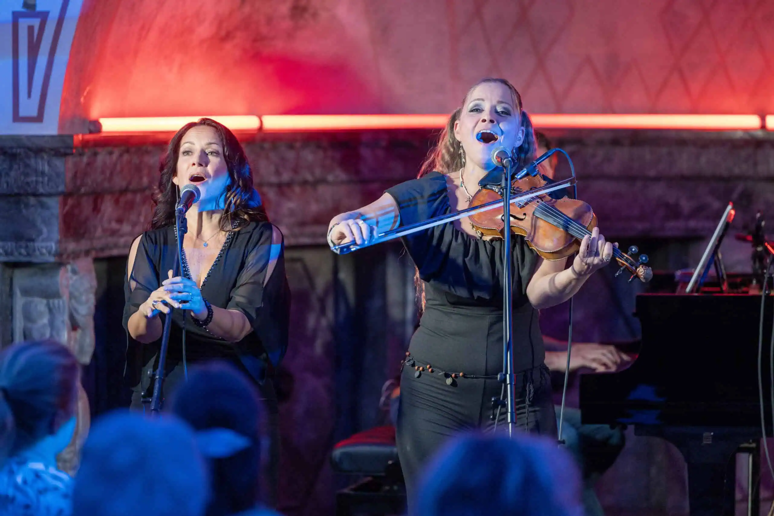Benefit concert – image 25