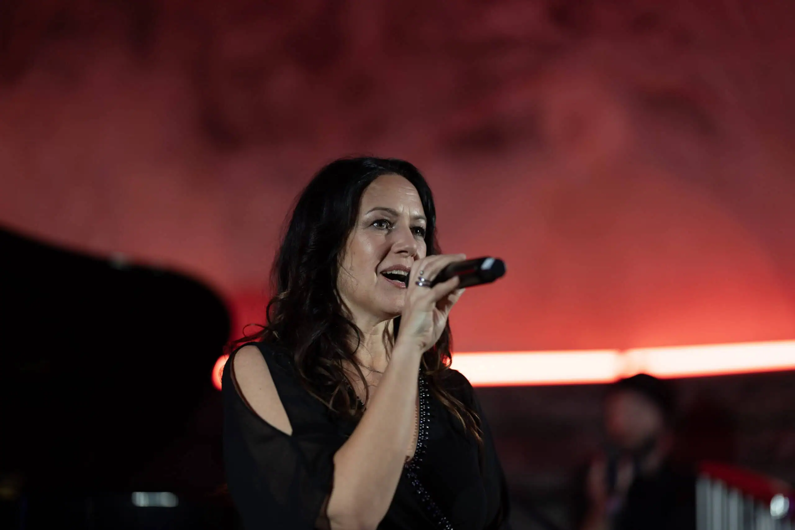 Benefit concert – image 36