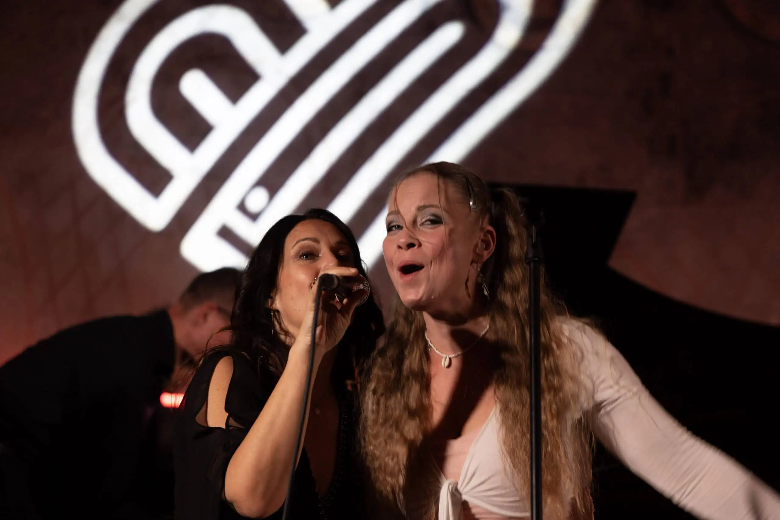 Benefit concert – image 69